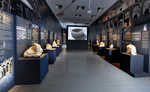 View showing the exhibition “Gladiators and the Colosseum. Heroes and Architecture in the service of the powerful.” © Liechtenstein National Museum, Photo Sven Beham